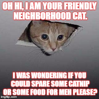 Ceiling Cat Meme Funny Image Photo Joke 01