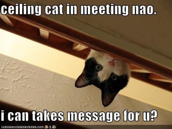 Ceiling Cat Meme Funny Image Photo Joke 04