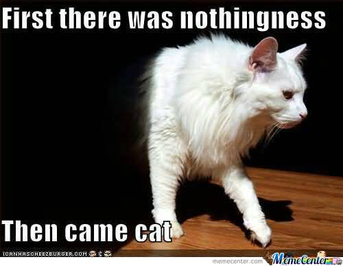 Ceiling Cat Meme Funny Image Photo Joke 05