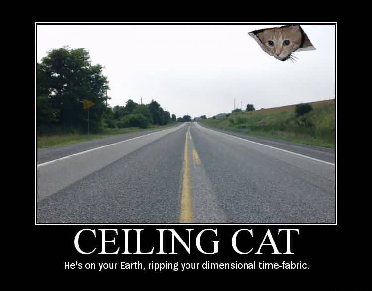 Ceiling Cat Meme Funny Image Photo Joke 06