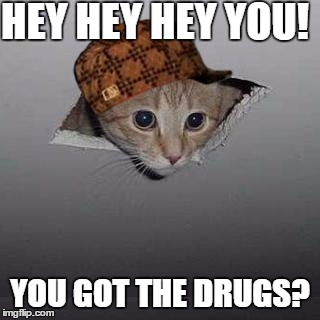 Ceiling Cat Meme Funny Image Photo Joke 07