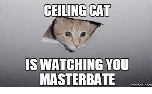 Ceiling Cat Meme Funny Image Photo Joke 08