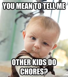 Chores Meme Funny Image Photo Joke 11