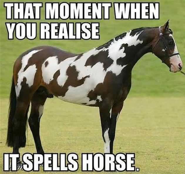 Cute Horse Quotes Meme Image 08