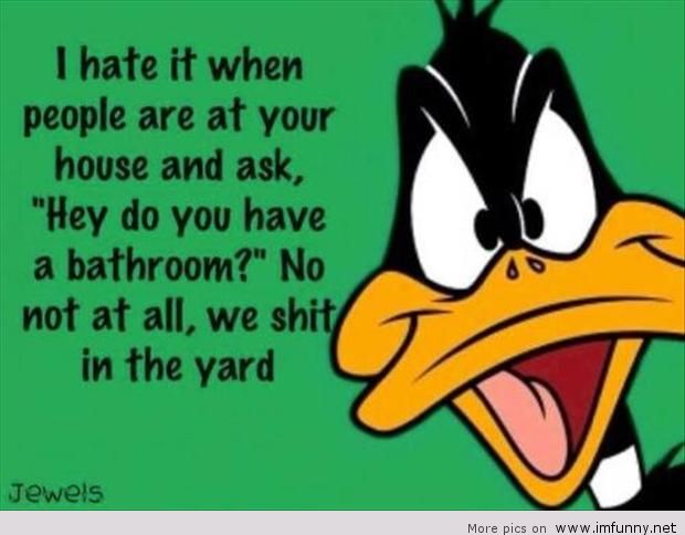 Daffy Duck Quotes Meme Image 03