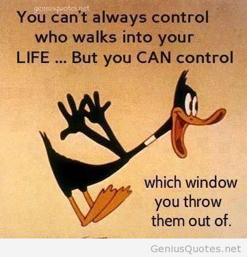 Daffy Duck Quotes Meme Image 07