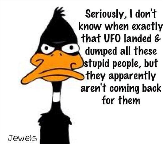 Daffy Duck Quotes Meme Image 08