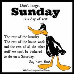 Daffy Duck Quotes Meme Image 11