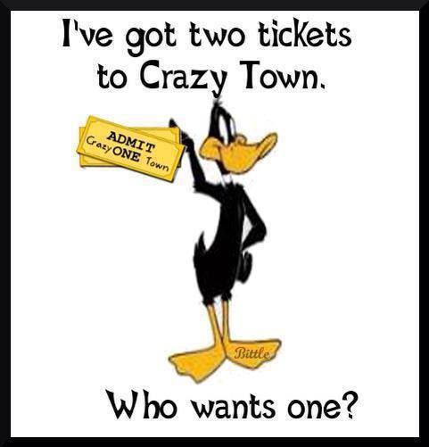 Daffy Duck Quotes Meme Image 12