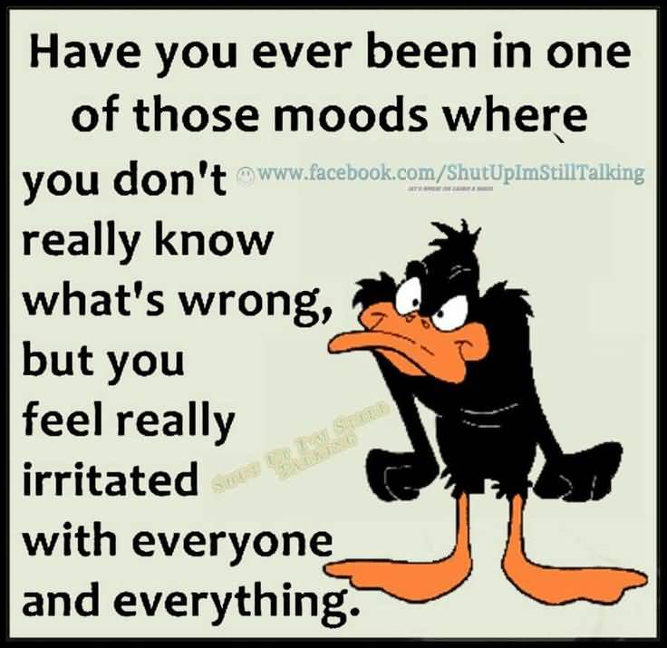 Daffy Duck Quotes Meme Image 13 | QuotesBae