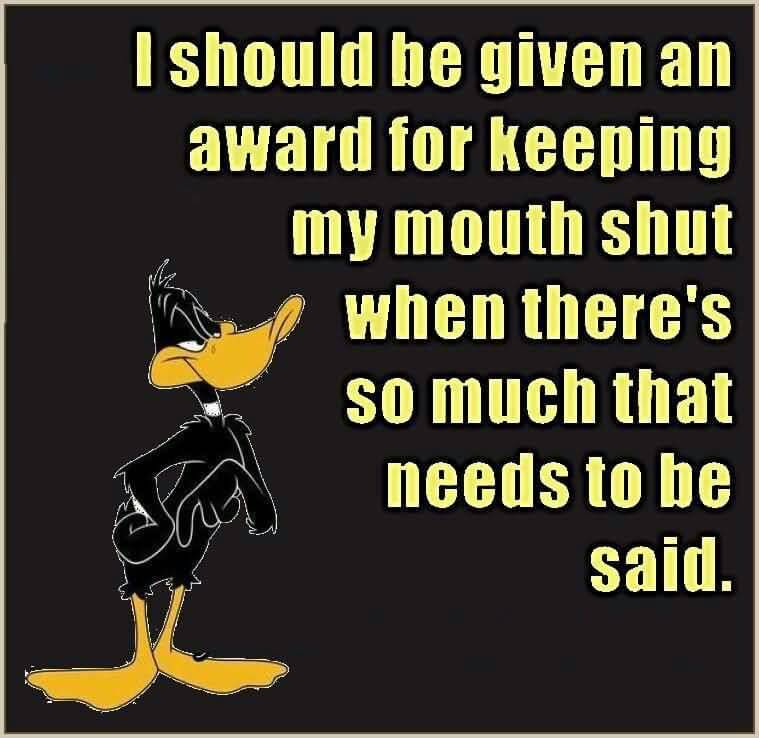 Daffy Duck Quotes Meme Image 14