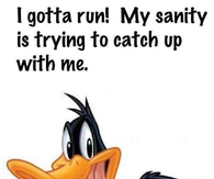 Daffy Duck Quotes Meme Image 17