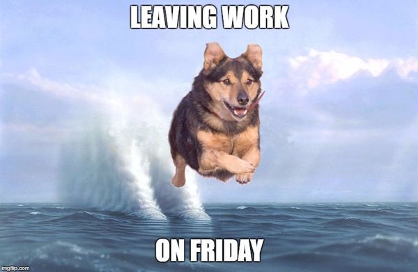 Funniest Leaving Work on Friday Meme Joke