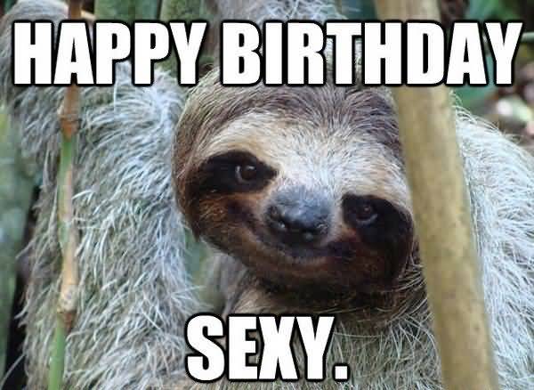 Funniest cool birthday sloth meme image