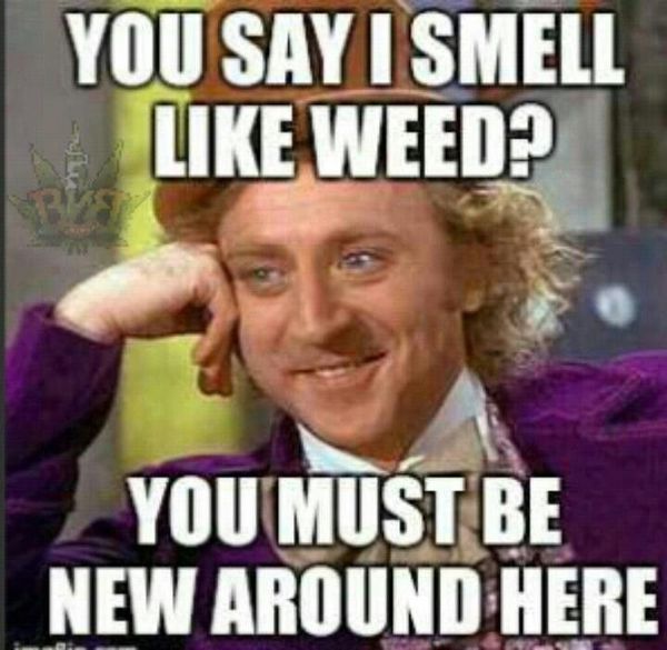 50 Top Weed Meme Jokes Images & Photos | QuotesBae