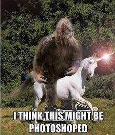 Funny Bigfoot Memes Funny Image Photo Joke 10