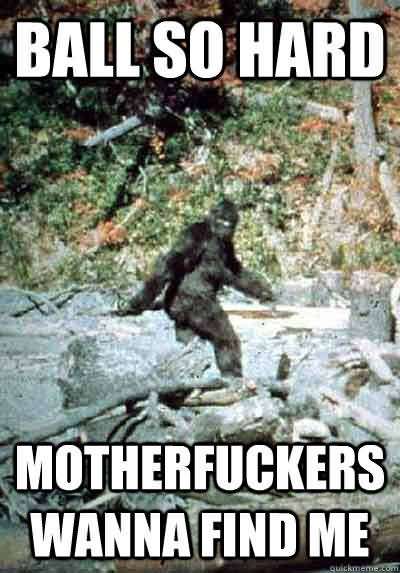 Funny Bigfoot Memes Funny Image Photo Joke 16