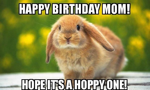 15 Top Funny Birthday Memes For Mom With Pictures