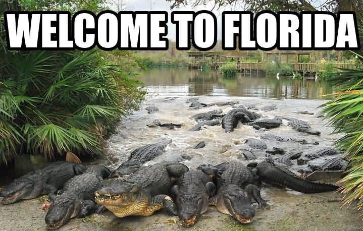 Funny Florida Meme Funny Image Photo Joke 03