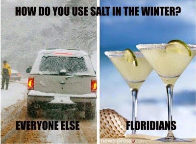 Funny Florida Meme Funny Image Photo Joke 08