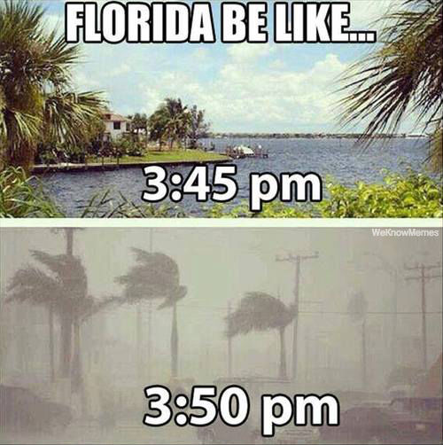 Funny Florida Meme Funny Image Photo Joke 09