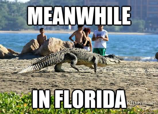 Funny Florida Meme Funny Image Photo Joke 10