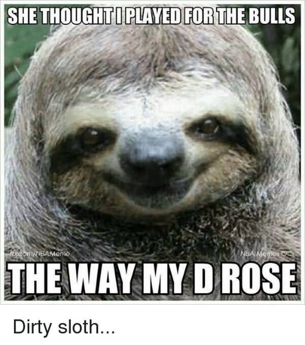 Funny best dirty sloth memes picture