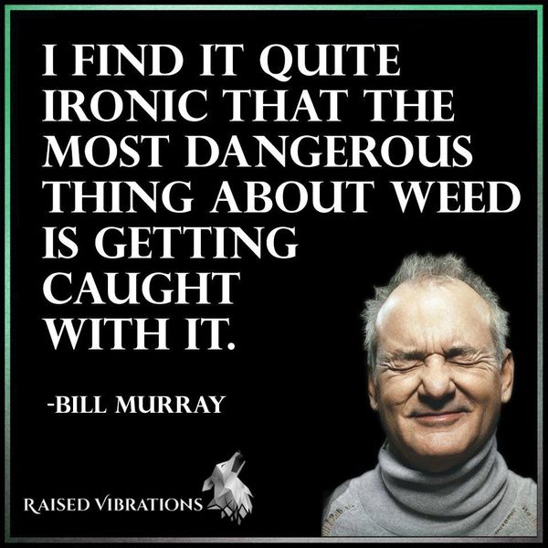 Funny best weed memes image