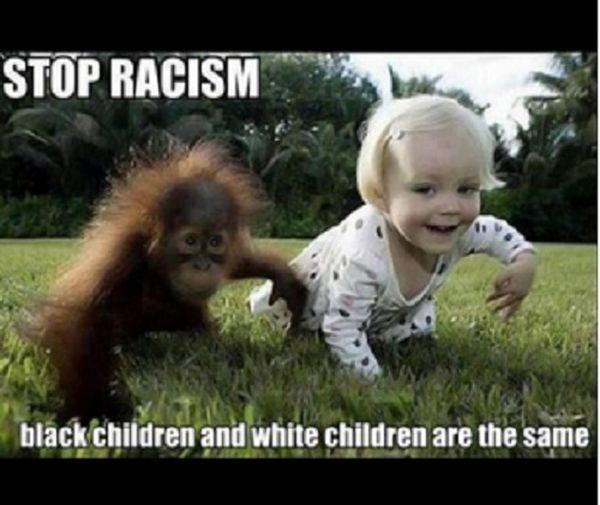 50 Top Racist Meme Pictures and Hilarious Joke