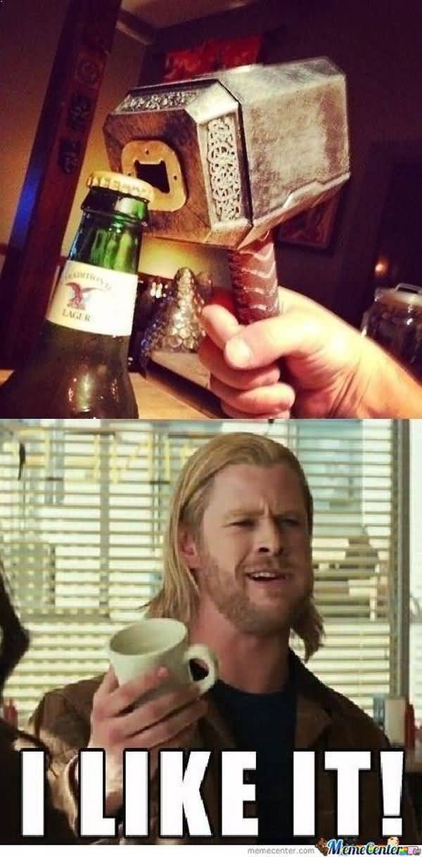 Hilarious common funny thor memes picture