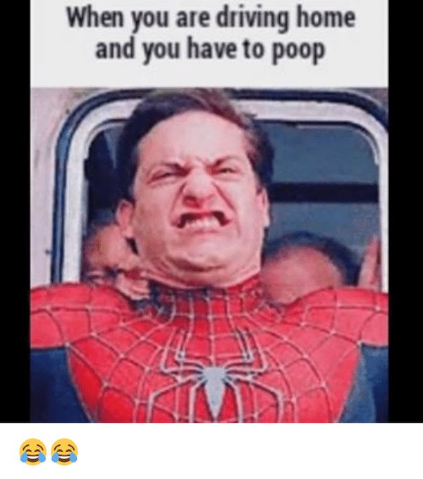 Hilarious have to poop meme jokes