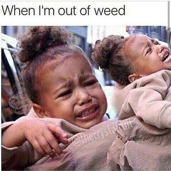Hilarious out of weed meme picture