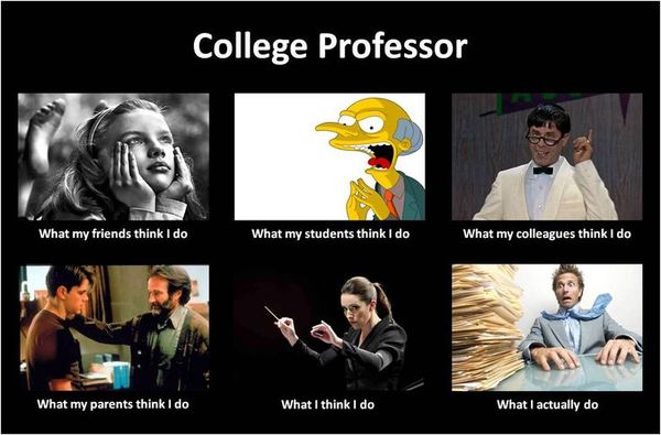 Hilarious professor memes photo