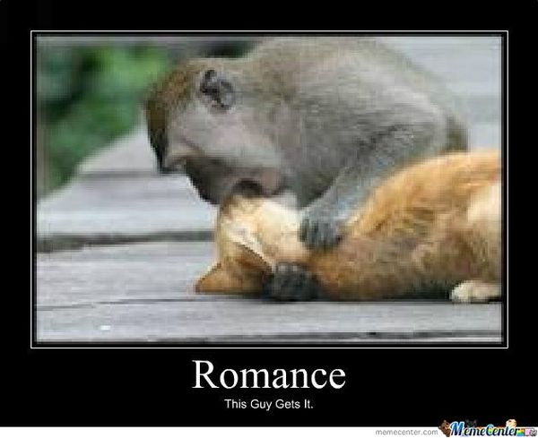 Hilarious romance meme photo