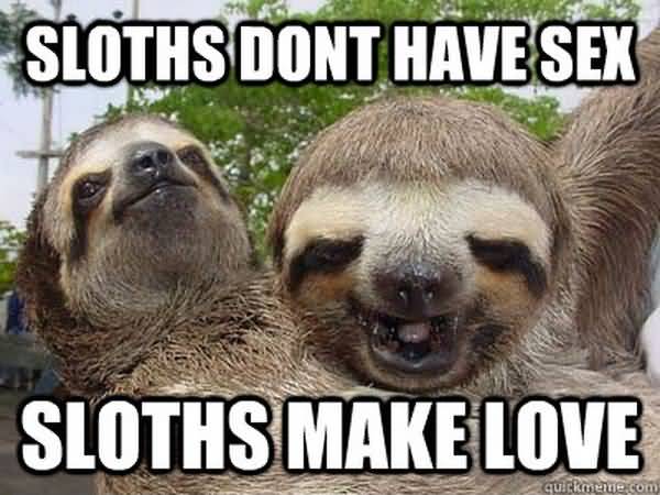 Hilarious sexual sloth meme photo