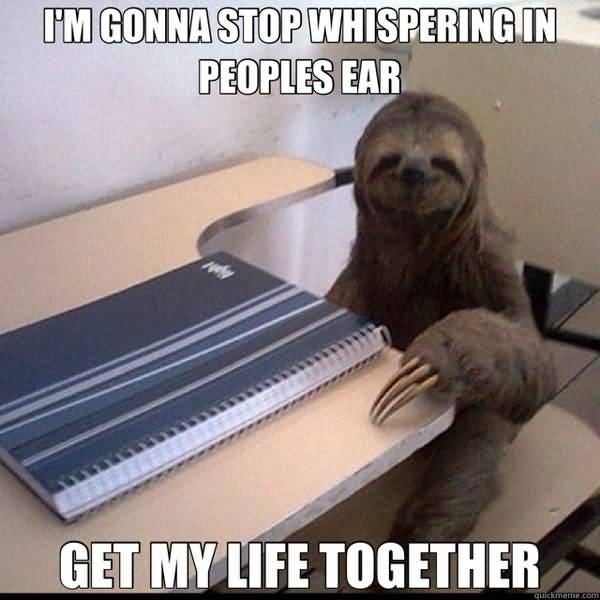Hilarious sloth whispering in ear meme picture
