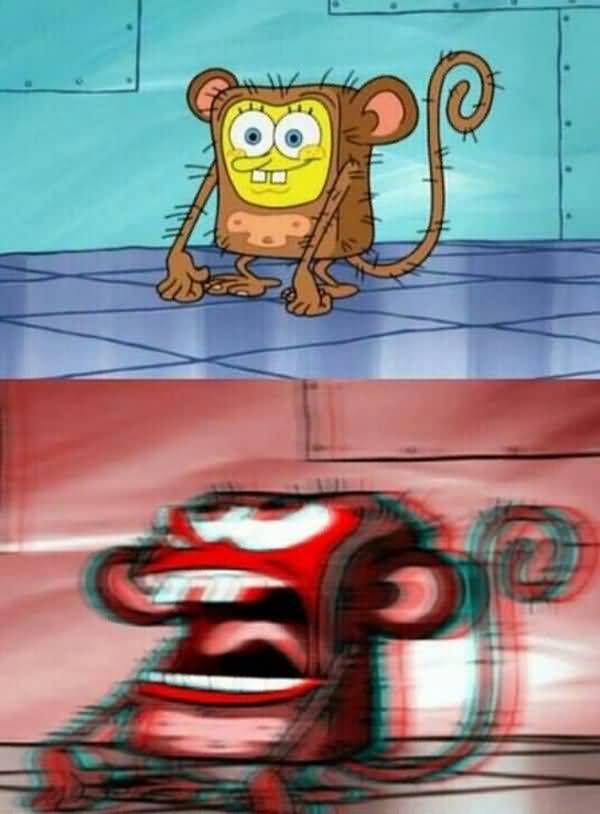 Hilarious spongebob monkey meme image