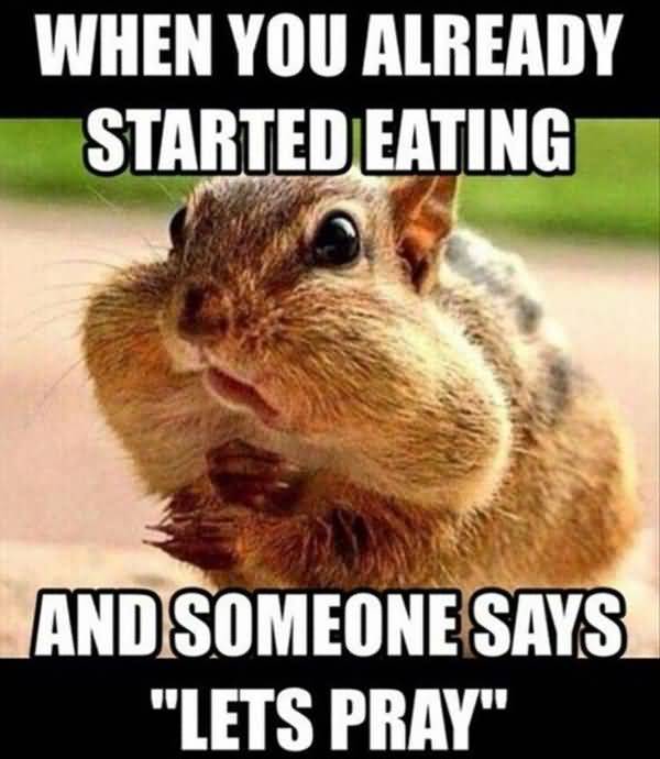 50 Top Squirrel Meme Joke Images and Pictures
