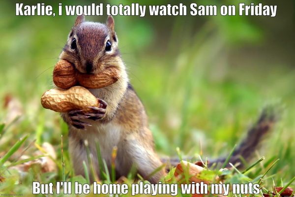 Hilarious squirrel nuts meme jokes