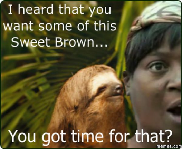 Hilarious true sloth whispering in ear meme joke
