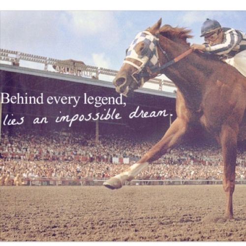 Horse Jumping Quotes Meme Image 02