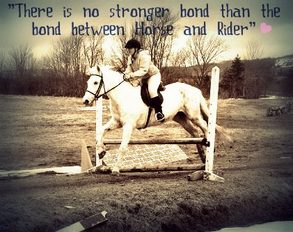 Horse Jumping Quotes Meme Image 08
