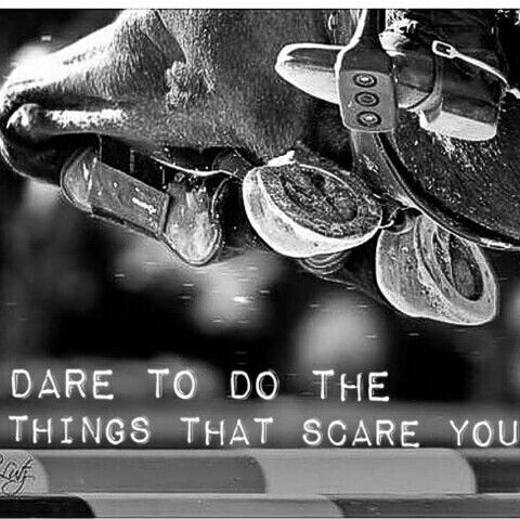 Horse Jumping Quotes Meme Image 18