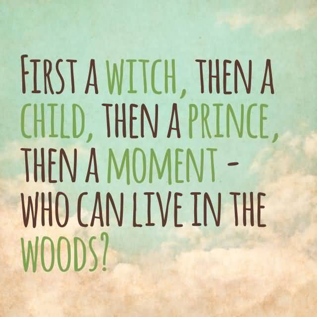 Into The Woods Quotes Meme Image 14