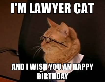 Lawyer Birthday Meme Joke Image 15