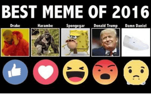 Memes About 2016 Funny Image Photo Joke 08
