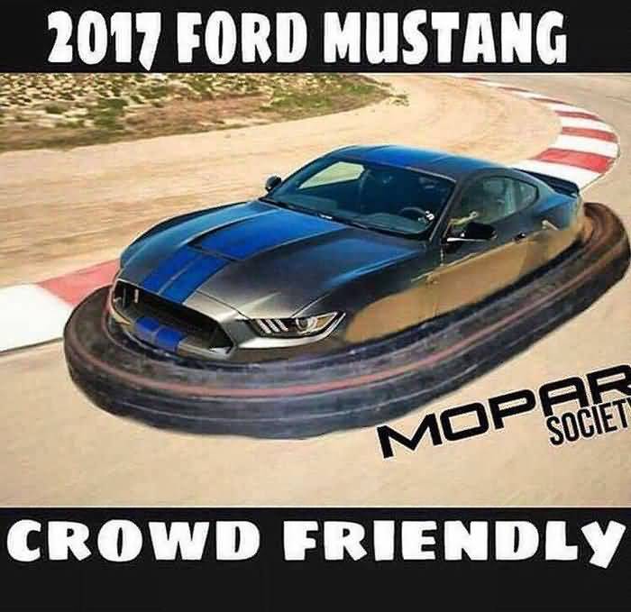 15 Top Mustang Meme Pictures and Funny Images QuotesBae
