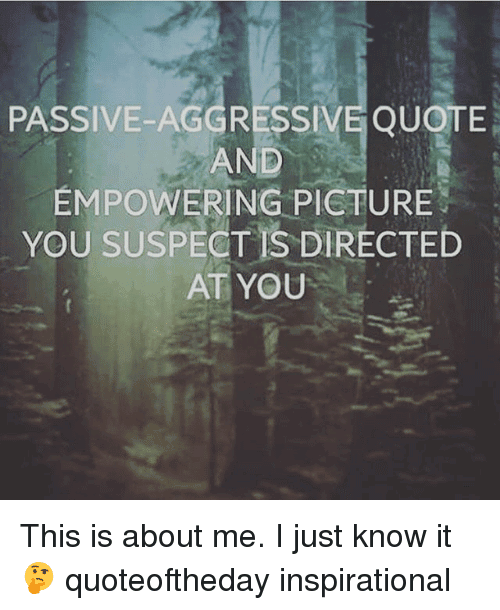 Passive Agressive Quotes Meme Image 02