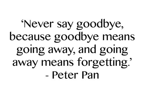 Quotes About Goodbye Meme Image 10
