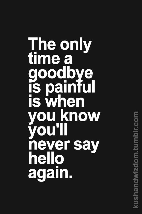 Quotes About Goodbye Meme Image 18